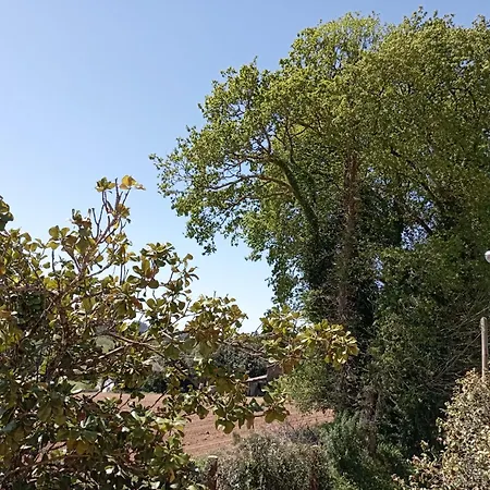 Vilarino Πανσιόν *