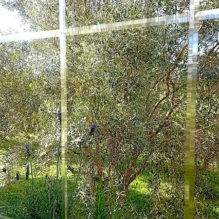 Πανσιόν Vilarino Ordes